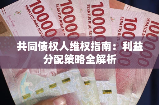 北京共同债权人维权指南：利益分配策略全解析